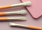 Vonira Beauty Custom Nude Pink Color Basic 10 Piece Makeup Brushes Collection Set de Brochas de Maquillaje Profesional